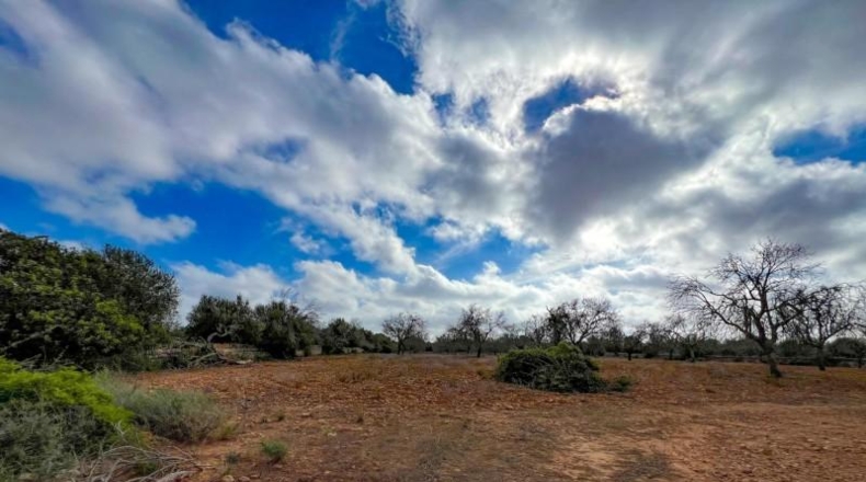 Islas Baleares - Felanitx - 15000m2