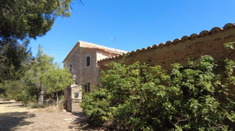 Illes Balears - Santa Eugènia - 142500m2