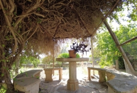 Foto 5
