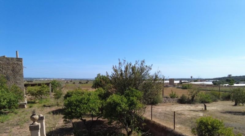 Illes Balears - Santa Eugènia - 142500m2