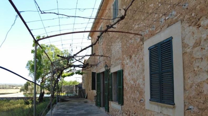 Illes Balears - Santa Eugènia - 142500m2