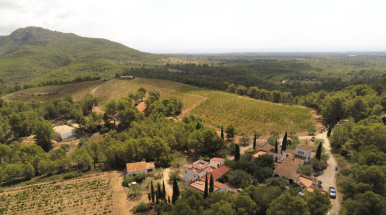 Tarragona - Tivissa - 80355m2