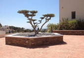 Отдельно стоящий дом с участком на продажу в городе Бениса Фото