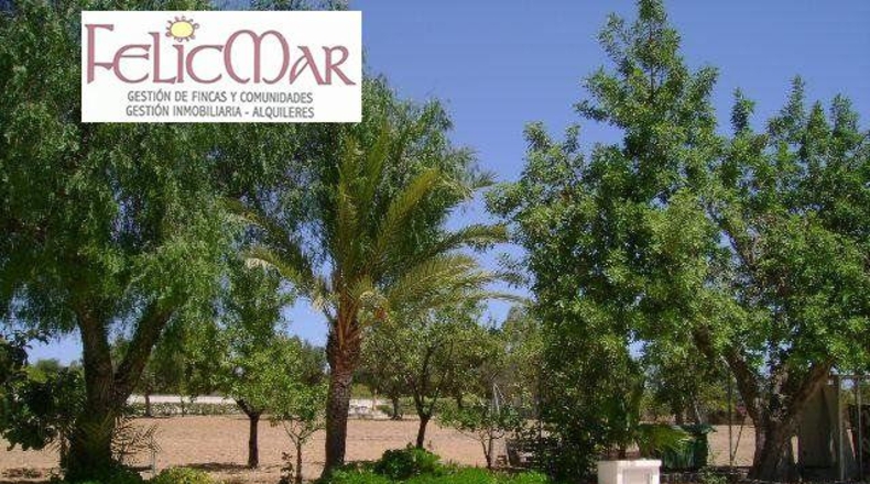 Alicante - Benidorm - 11500m2