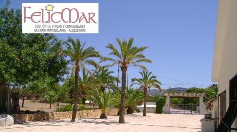 Alicante - Benidorm - 11500m2