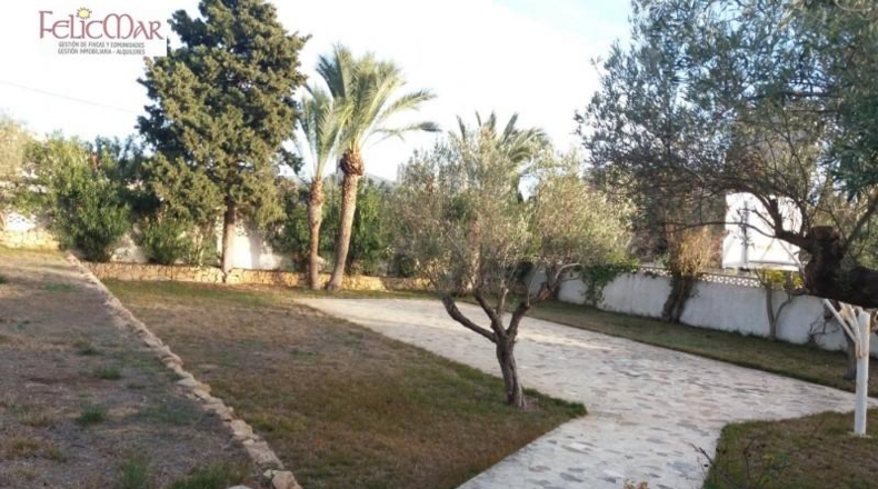 Alicante - Benidorm - 11500m2