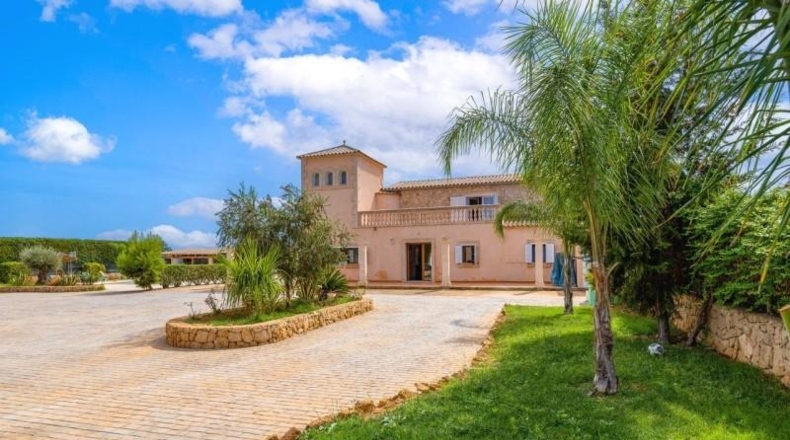 Islas Baleares - Palma - 36000m2