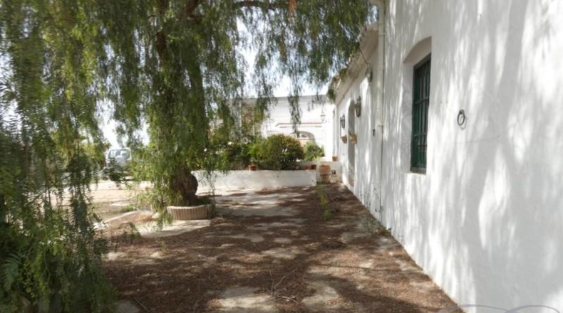 Málaga - Almayate Alto - 26113m2