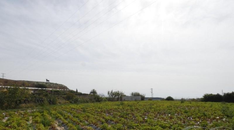 Málaga - Almayate Alto - 26113m2