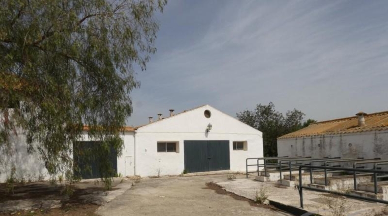Málaga - Almayate Alto - 26113m2