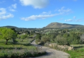 Detached villa with land for sale on España, Sant Llorenç des Cardassar, ref: TR141193 photo