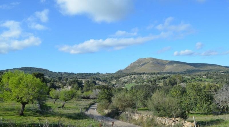 Islas Baleares - Sant Llorenç des Cardassar - 500000m2
