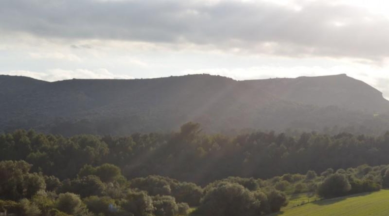 Islas Baleares - Sant Llorenç des Cardassar - 500000m2
