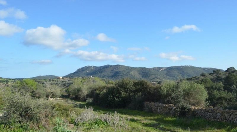Islas Baleares - Sant Llorenç des Cardassar - 500000m2