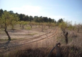Parcel·la urbanitzable en venda a la España, Moratalla, ref.: TR119448 foto