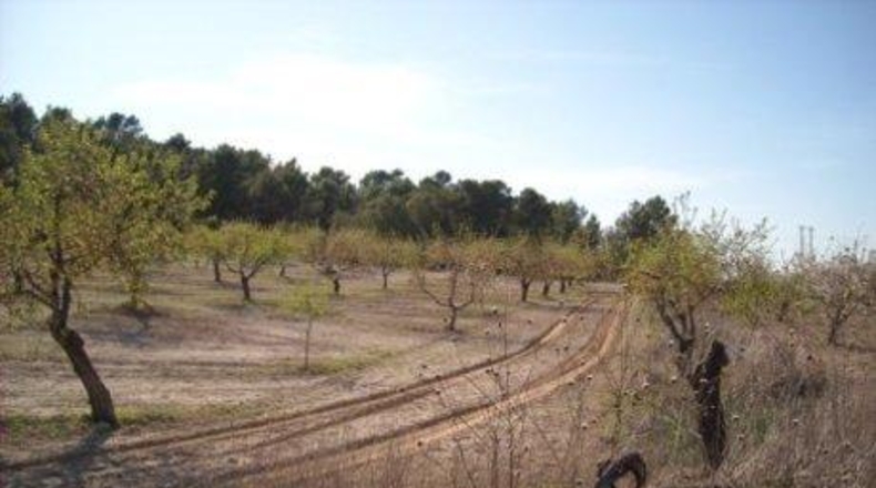Múrcia - Moratalla - 1800000m2