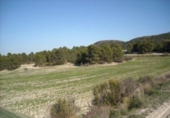 Parcel·la urbanitzable en venda a la España, Moratalla, ref.: TR119448 foto
