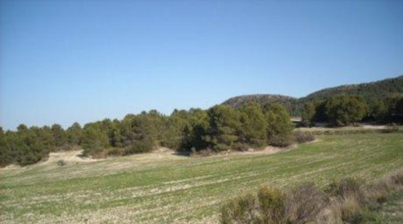 Múrcia - Moratalla - 1800000m2