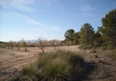 Parcel·la urbanitzable en venda a la España, Moratalla, ref.: TR119448 foto