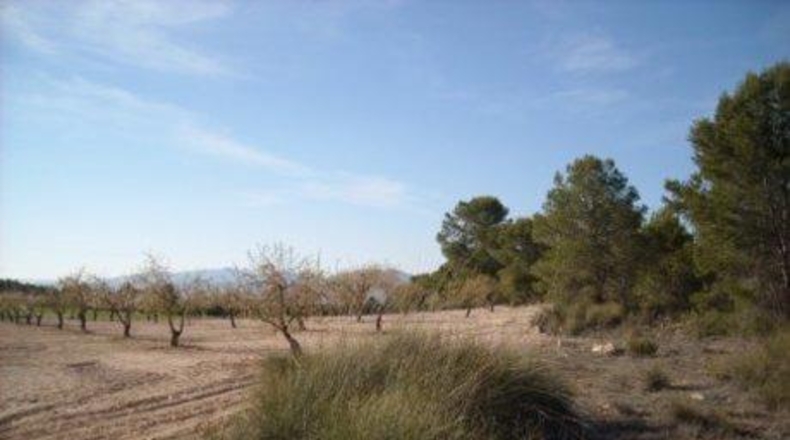 Múrcia - Moratalla - 1800000m2