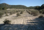 Parcel·la urbanitzable en venda a la España, Moratalla, ref.: TR119448 foto