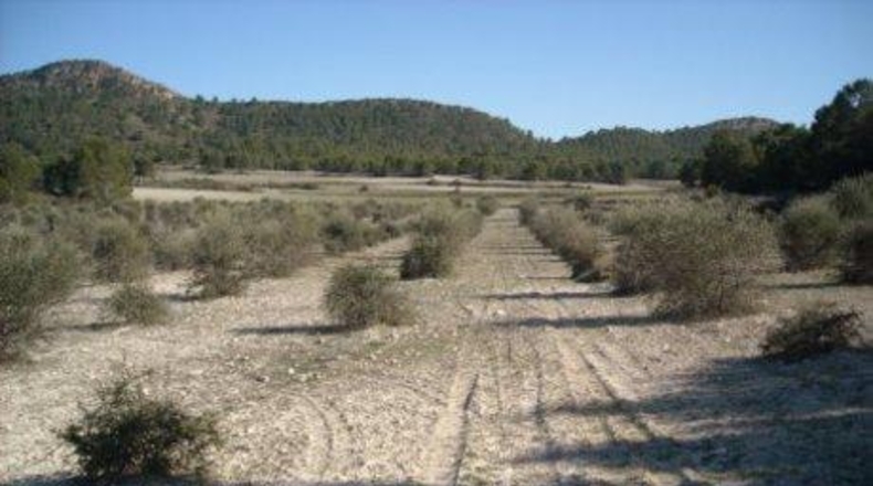 Múrcia - Moratalla - 1800000m2