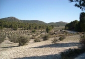 Parcel·la urbanitzable en venda a la España, Moratalla, ref.: TR119448 foto