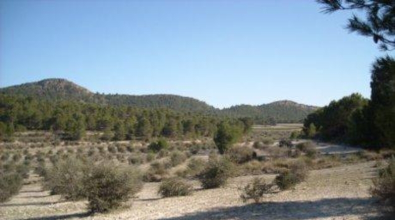 Múrcia - Moratalla - 1800000m2