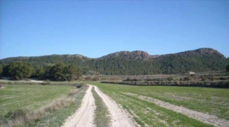 Múrcia - Moratalla - 1800000m2