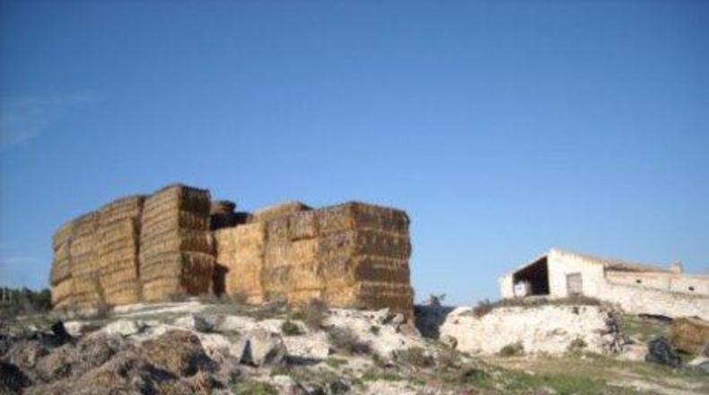 Múrcia - Moratalla - 1800000m2