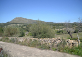 Xalet independent amb terreny en venda a la España, Sant Llorenç des Cardassar, ref.: TR135302 foto