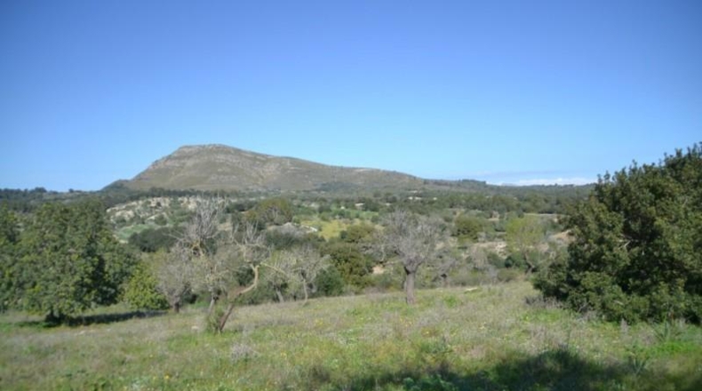 Islas Baleares - Sant Llorenç des Cardassar - 500108m2