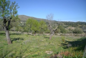 Foto 19