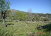 Xalet independent amb terreny en venda a la España, Sant Llorenç des Cardassar, ref.: TR135302 foto