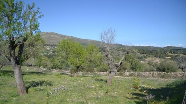 Islas Baleares - Sant Llorenç des Cardassar - 500108m2