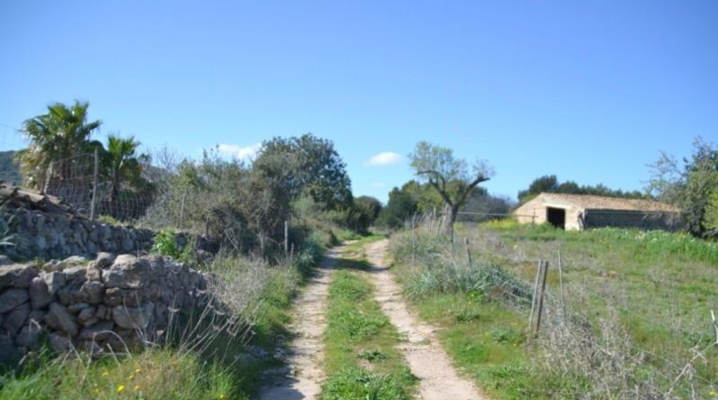 Islas Baleares - Sant Llorenç des Cardassar - 500108m2
