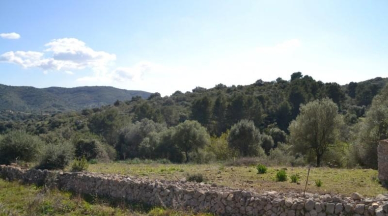 Islas Baleares - Sant Llorenç des Cardassar - 500108m2