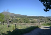 Xalet independent amb terreny en venda a la España, Sant Llorenç des Cardassar, ref.: TR135302 foto