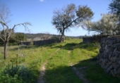 Xalet independent amb terreny en venda a la España, Sant Llorenç des Cardassar, ref.: TR135302 foto