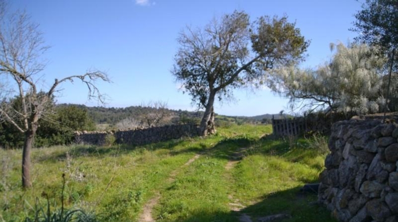 Islas Baleares - Sant Llorenç des Cardassar - 500108m2