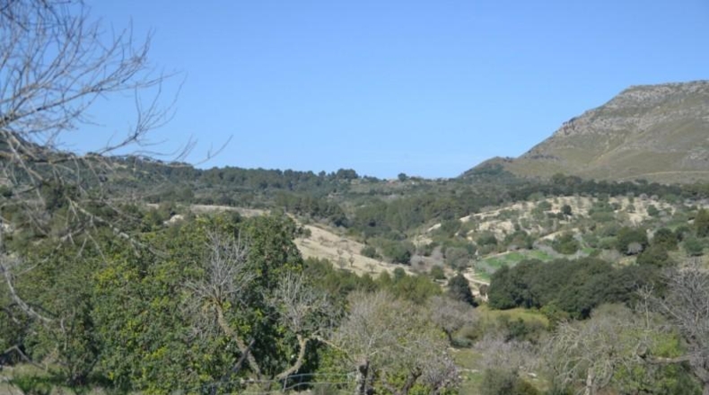 Islas Baleares - Sant Llorenç des Cardassar - 500108m2