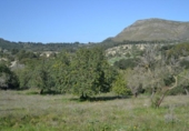 Xalet independent amb terreny en venda a la España, Sant Llorenç des Cardassar, ref.: TR135302 foto