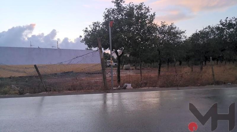 Seville - Dos Hermanas - 28791m2