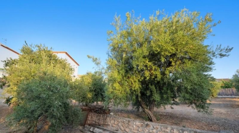 Granada - La Zubia - 5558m2