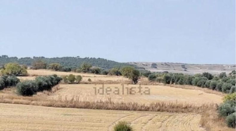 Comunidad de Madrid - Valdemoro - 9800m2