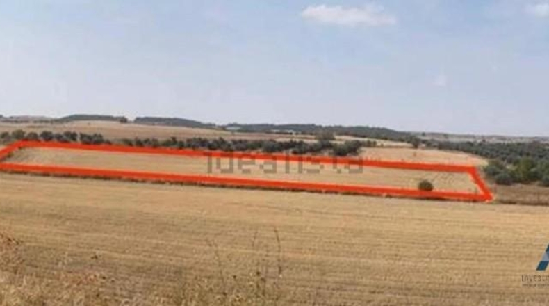 Comunidad de Madrid - Valdemoro - 9800m2