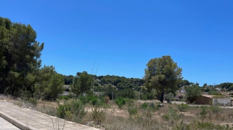 Alicante - Moraira - 8m2