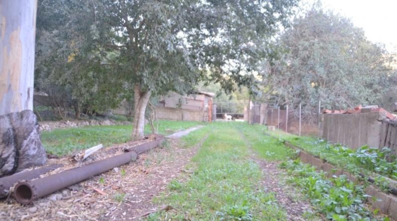 Islas Baleares - sa Pobla - 296416m2