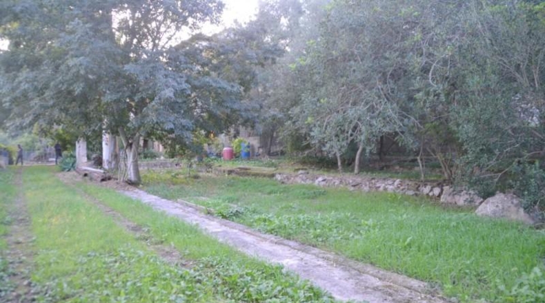Islas Baleares - sa Pobla - 296416m2