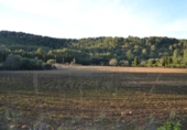 Xalet independent amb terreny en venda a la España, sa Pobla, ref.: TR135301 foto